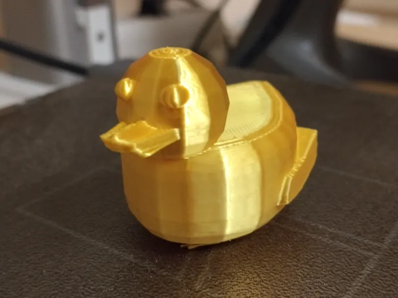 duck