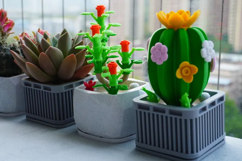 Assemble succulents|拼装多肉