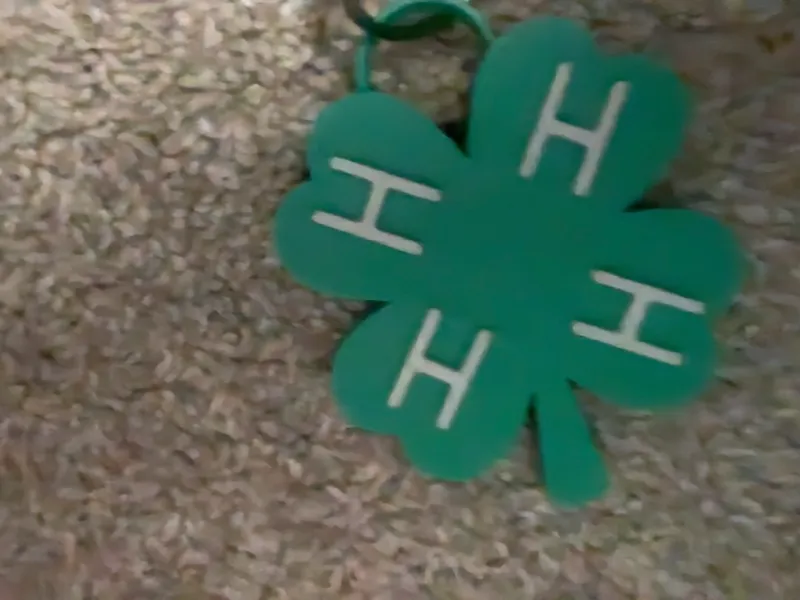 4-H keychain