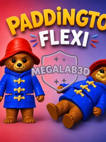 Tapa o cubierta: PADDINGTON FLEXI MEGALAB3D — vista de referencia 2