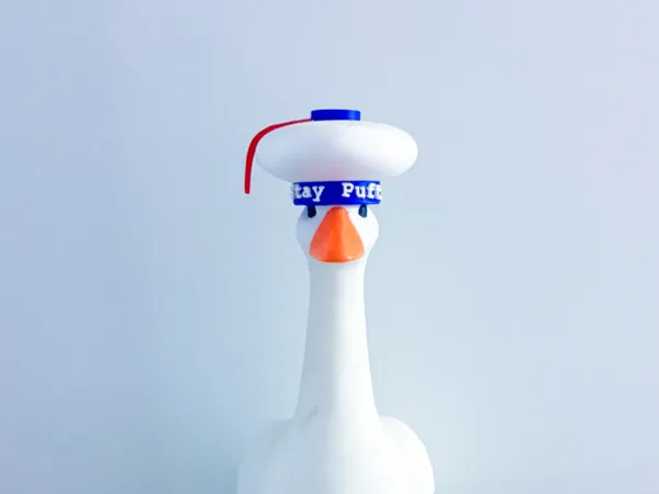 https://makerworld.bblmw.com/makerworld/model/USfeba05b724fbaa/design/d97e28e429aac211.jpg