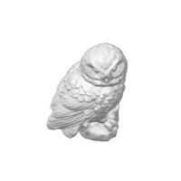 Hedwige, la chouette blanche — photo 4