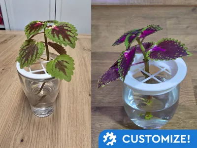 Plant Propagation Station — Parametric Glass Lid