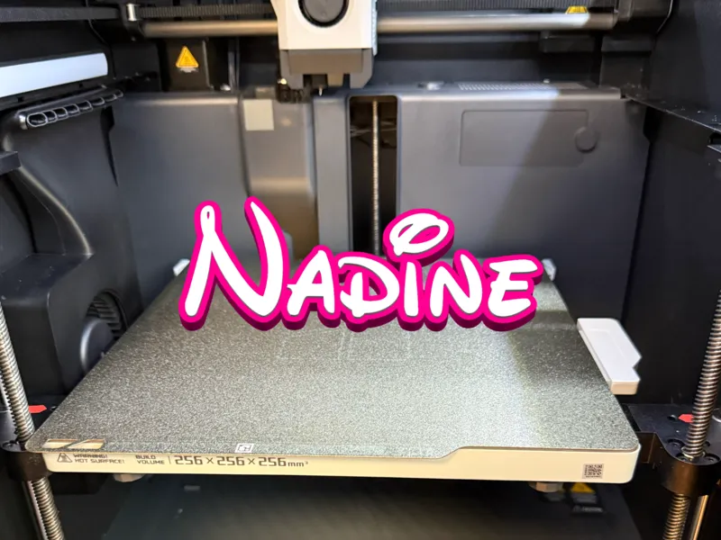 Nadine - Namensschild Cartoon