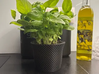 Basil Pot