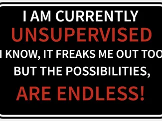 I am Currently Unsupervised Sign