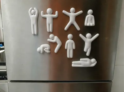 Meccha Chameleon fridge magnets