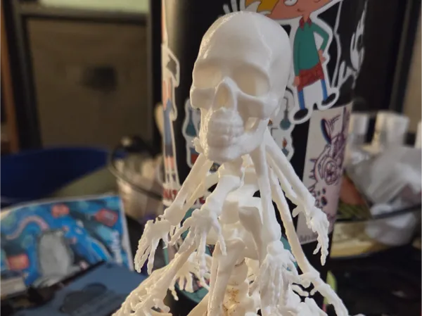 https://makerworld.bblmw.com/makerworld/model/USfee759861a4347/design/2025-12-22_189d8ca1054b9.jpg