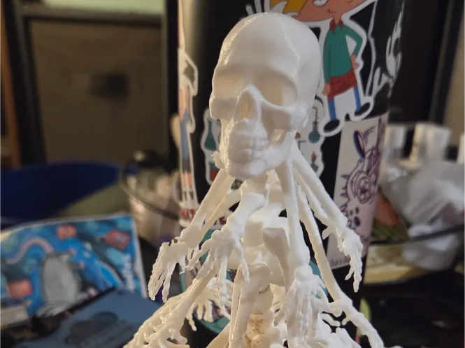 Skeleton Christmas Tree