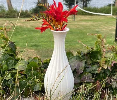 Modern Vase