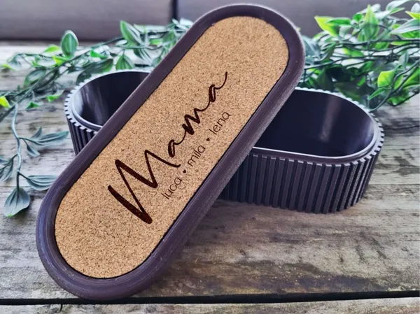https://makerworld.bblmw.com/makerworld/model/USfeeac64b58fe02/design/2025-10-26_c1ff9751d154e8.jpg