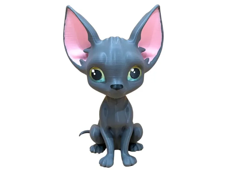 Cute Sphynx Cat