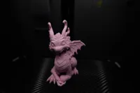 Petit dragon mignon 2 — photo 7