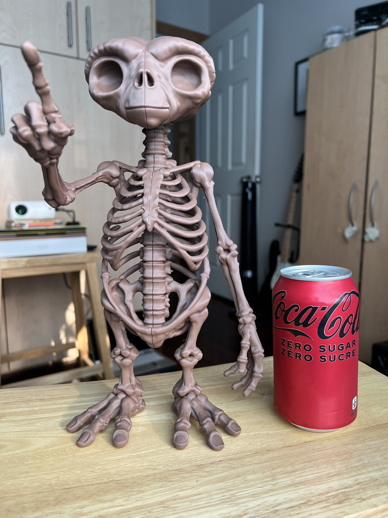 ET Skeleton - 1