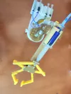 Arm claw