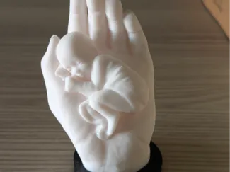The baby is sleeping in the hand