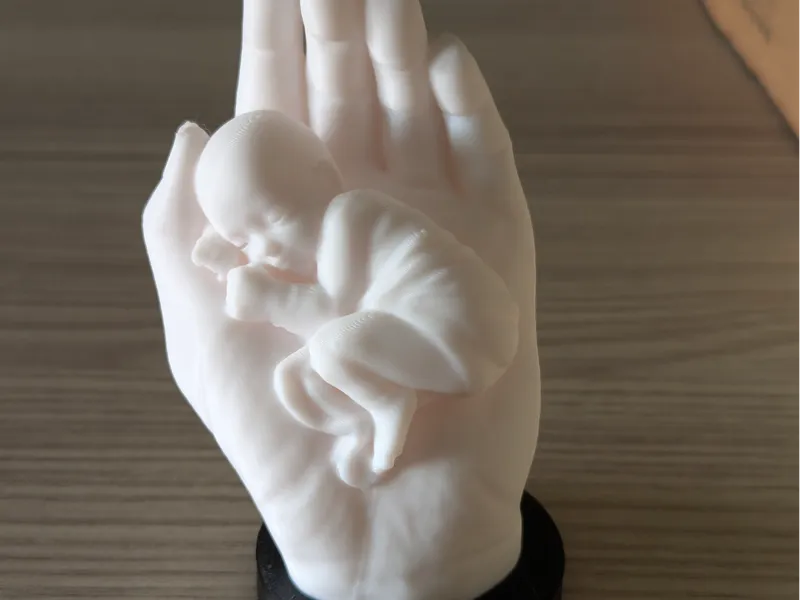 The baby is sleeping in the hand