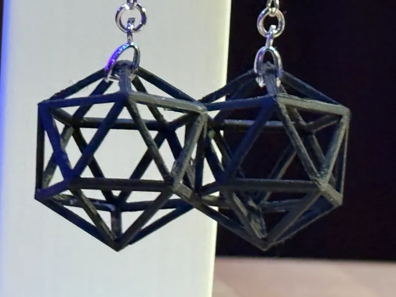 D20 earring