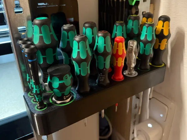 https://makerworld.bblmw.com/makerworld/model/USfef9189c1bdb89/design/2025-04-23_80aadd50d3f9e.jpeg