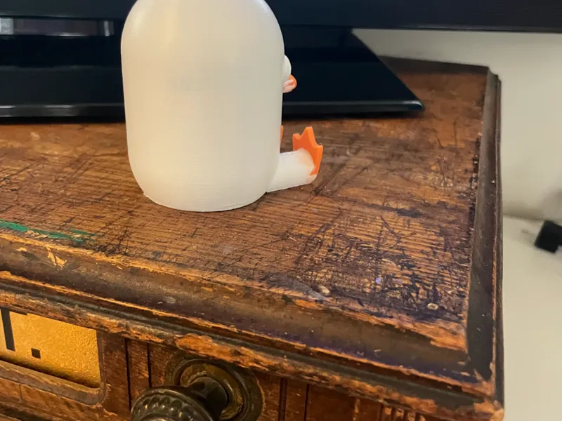 cute duck