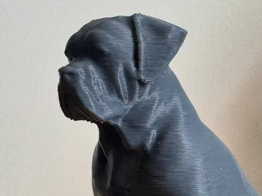 https://makerworld.bblmw.com/makerworld/model/USff056f076ebd1f/design/2025-02-24_bad00ca3377f78.webp
