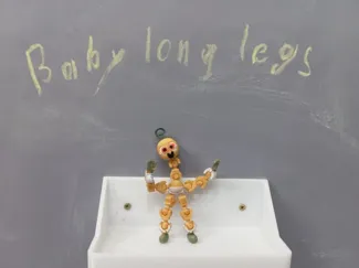 Baby Long Legs