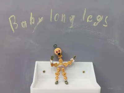 Baby Long Legs