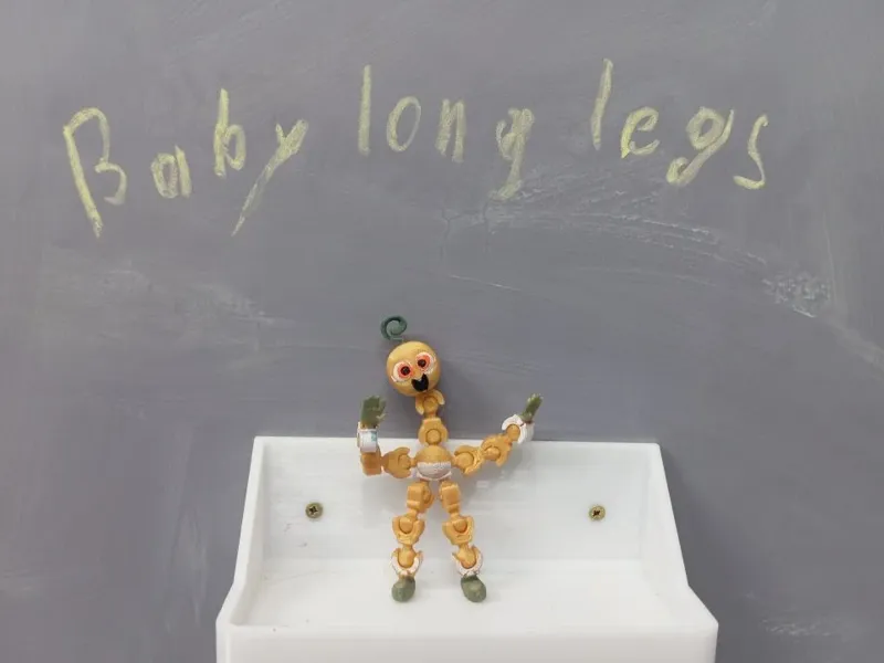 Baby Long Legs