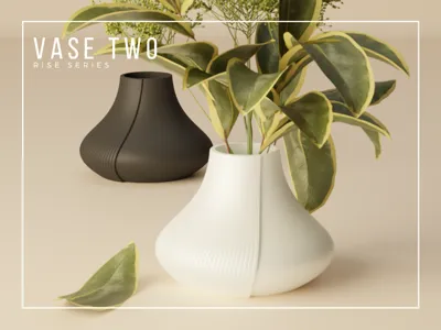 Modern Vase TWO - Rise Series