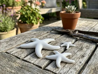 Stelle Marine Decorative — Set da 3 taglie diverse