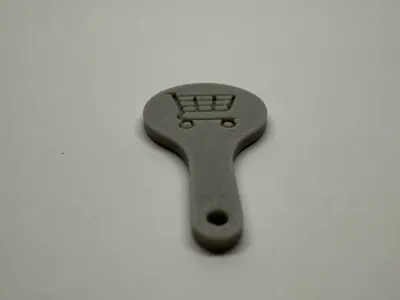 Shopping cart coin