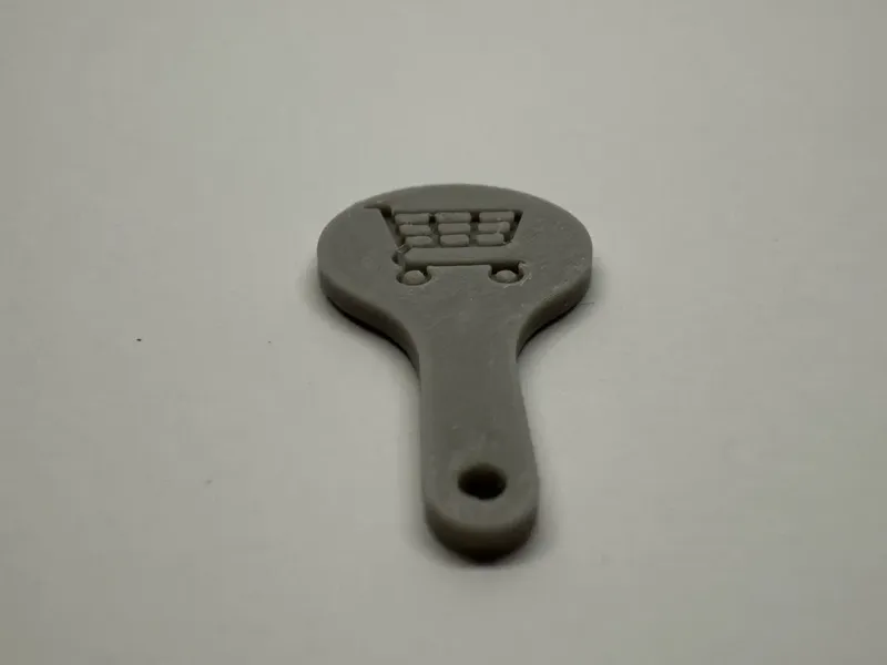 Shopping cart coin
