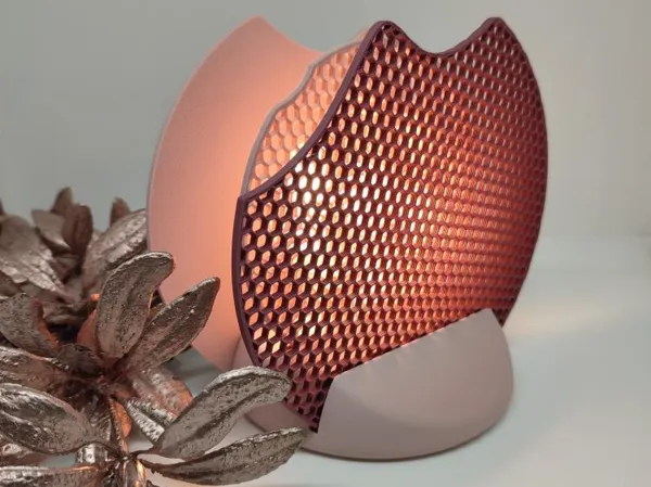 https://makerworld.bblmw.com/makerworld/model/USff138877c205a/design/2024-12-12_95a26b652d928.jpg