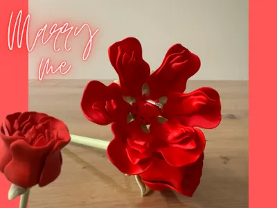https://makerworld.bblmw.com/makerworld/model/USff1befc1da3dac/design/2025-01-29_da2c9563e22c3.png