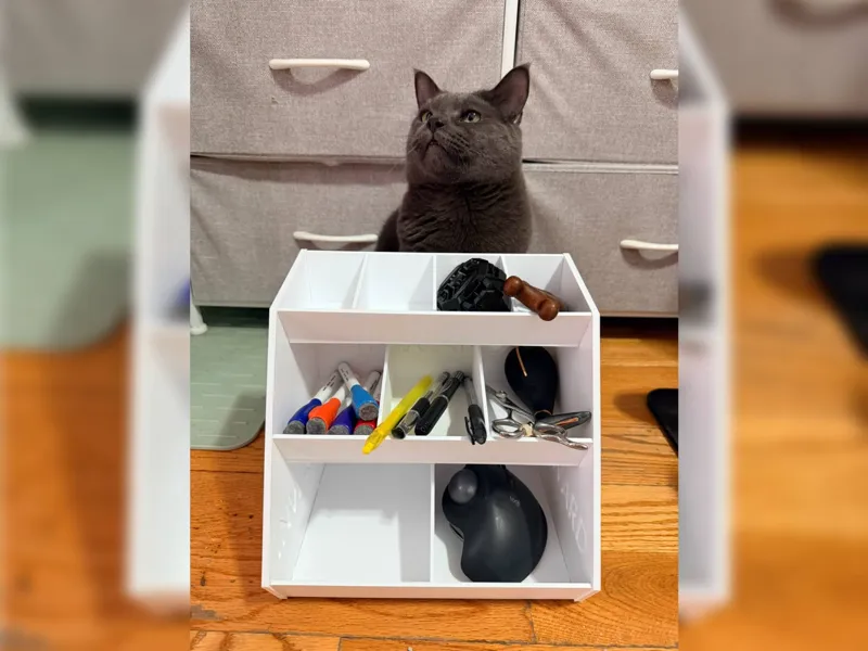 3_Layers_Storage_Bin