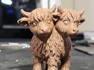 Two-Headed Highland Cow