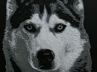Husky 3d HueForge