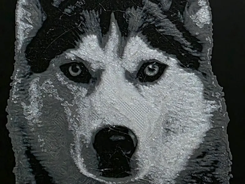 Husky 3d HueForge