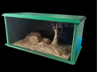 Desert Terrarium for minis