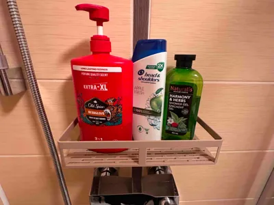 Bathroom shower holder