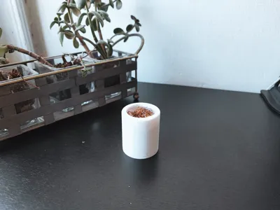 Iron Scrub Pot