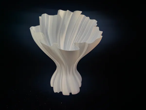 https://makerworld.bblmw.com/makerworld/model/USff344e005d5d76/design/2025-06-16_0bdc1f41e372a8.jpg
