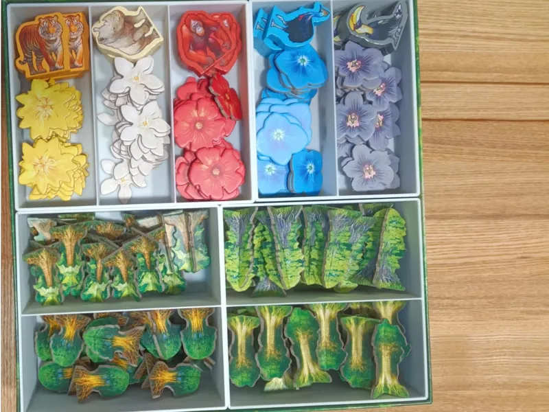 Hutan: Life in the Rainforest insert