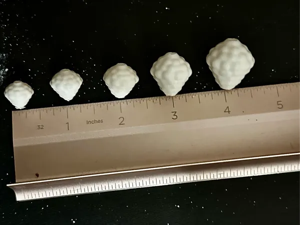 https://makerworld.bblmw.com/makerworld/model/USff3a0dd47c3fcf/design/2025-03-19_586ce8869be288.jpeg