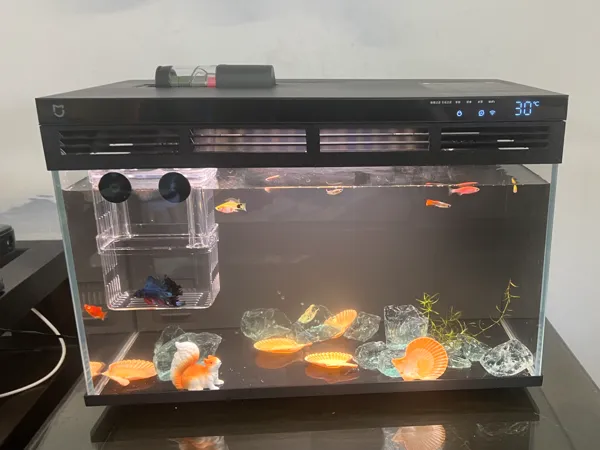 https://makerworld.bblmw.com/makerworld/model/USff3b382136f8f1/design/2025-08-24_6ae51c5d782bd.jpg