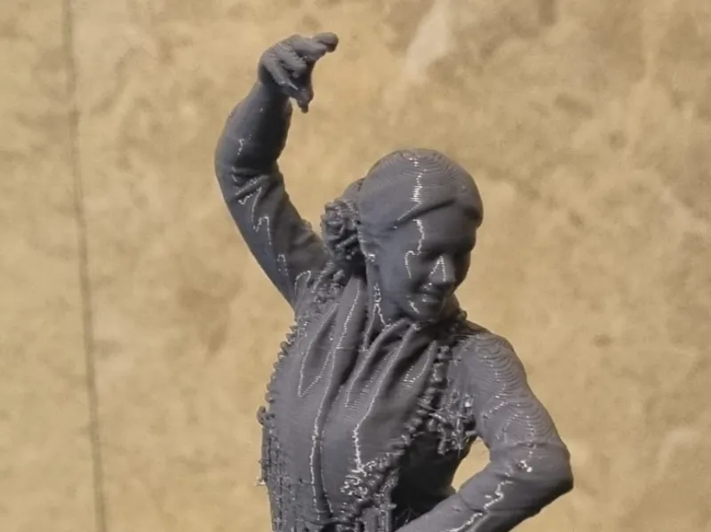 GITANA FLAMENCA BAILANDO