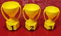 Trophée simple — photo 4