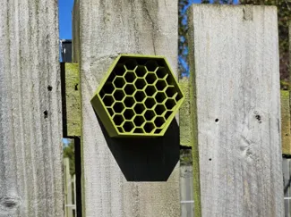 Bee Hotel