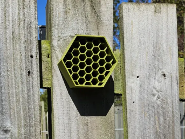 https://makerworld.bblmw.com/makerworld/model/USff3f5c17a076a3/design/2025-05-10_6dd05691dd0f88.jpg