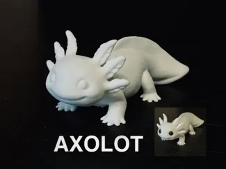 Cute Axolot - AMS + NO AMS